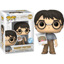 Funko Pop! Harry Potter - Harry Potter with Cake #174 - Pop Basement