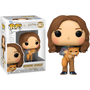 Funko Pop! Harry Potter and the Prisoner of Azkaban - Hermione Granger with Crookshanks #167 - Pop Basement